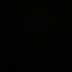 Meet your Posher, Pookie